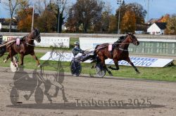 Dateiname=20251026_r02_131_R02_0412.jpg
Dateigröße=371KB
Abmessungen: 1000x667
hinzugefügt am: 27. Oktober 2025 20251026_r02_131_R02_0412.jpg