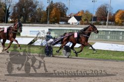 Dateiname=20251026_r02_132_R02_0415.jpg
Dateigröße=336KB
Abmessungen: 1000x667
hinzugefügt am: 27. Oktober 2025 20251026_r02_132_R02_0415.jpg