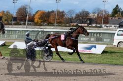 Dateiname=20251026_r02_135_R02_0420.jpg
Dateigröße=308KB
Abmessungen: 1000x667
hinzugefügt am: 27. Oktober 2025 20251026_r02_135_R02_0420.jpg