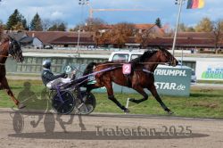 Dateiname=20251026_r02_137_R02_0427.jpg
Dateigröße=314KB
Abmessungen: 1000x667
hinzugefügt am: 27. Oktober 2025 20251026_r02_137_R02_0427.jpg