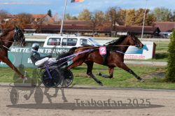 Dateiname=20251026_r02_138_R02_0430.jpg
Dateigröße=321KB
Abmessungen: 1000x667
hinzugefügt am: 27. Oktober 2025 20251026_r02_138_R02_0430.jpg