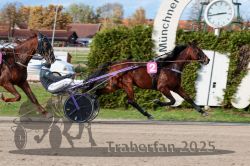 Dateiname=20251026_r02_140_R02_0434.jpg
Dateigröße=344KB
Abmessungen: 1000x667
hinzugefügt am: 27. Oktober 2025 20251026_r02_140_R02_0434.jpg