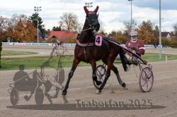 Dateiname=20251026_r03_002_R03_0009.jpg
Dateigröße=320KB
Abmessungen: 1000x667
hinzugefügt am: 27. Oktober 2025 20251026_r03_002_R03_0009.jpg