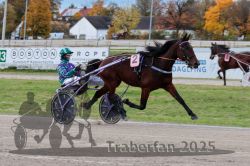 Dateiname=20251026_r03_004_R03_0015.jpg
Dateigröße=311KB
Abmessungen: 1000x667
hinzugefügt am: 27. Oktober 2025 20251026_r03_004_R03_0015.jpg