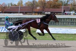 Dateiname=20251026_r03_009_R03_0029.jpg
Dateigröße=284KB
Abmessungen: 1000x667
hinzugefügt am: 27. Oktober 2025 20251026_r03_009_R03_0029.jpg