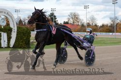 Dateiname=20251026_r03_011_R03_0039.jpg
Dateigröße=289KB
Abmessungen: 1000x667
hinzugefügt am: 27. Oktober 2025 20251026_r03_011_R03_0039.jpg