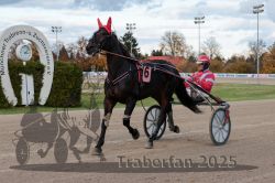 Dateiname=20251026_r03_016_R03_0065.jpg
Dateigröße=298KB
Abmessungen: 1000x667
hinzugefügt am: 27. Oktober 2025 20251026_r03_016_R03_0065.jpg