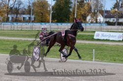 Dateiname=20251026_r03_018_R03_0075.jpg
Dateigröße=316KB
Abmessungen: 1000x667
hinzugefügt am: 27. Oktober 2025 20251026_r03_018_R03_0075.jpg