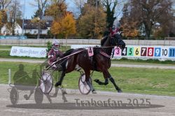 Dateiname=20251026_r03_021_R03_0083.jpg
Dateigröße=324KB
Abmessungen: 1000x667
hinzugefügt am: 27. Oktober 2025 20251026_r03_021_R03_0083.jpg