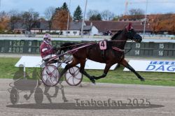 Dateiname=20251026_r03_027_R03_0100.jpg
Dateigröße=285KB
Abmessungen: 1000x667
hinzugefügt am: 27. Oktober 2025 20251026_r03_027_R03_0100.jpg