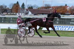 Dateiname=20251026_r03_028_R03_0101.jpg
Dateigröße=286KB
Abmessungen: 1000x667
hinzugefügt am: 27. Oktober 2025 20251026_r03_028_R03_0101.jpg