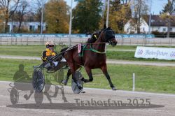 Dateiname=20251026_r03_036_R03_0128.jpg
Dateigröße=310KB
Abmessungen: 1000x667
hinzugefügt am: 27. Oktober 2025 20251026_r03_036_R03_0128.jpg