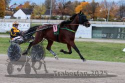 Dateiname=20251026_r03_041_R03_0146.jpg
Dateigröße=294KB
Abmessungen: 1000x667
hinzugefügt am: 27. Oktober 2025 20251026_r03_041_R03_0146.jpg