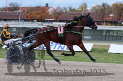 Dateiname=20251026_r03_045_R03_0157.jpg
Dateigröße=288KB
Abmessungen: 1000x667
hinzugefügt am: 27. Oktober 2025 20251026_r03_045_R03_0157.jpg