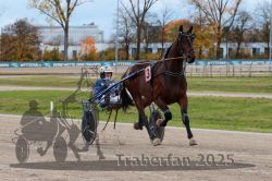 Dateiname=20251026_r03_047_R03_0162.jpg
Dateigröße=324KB
Abmessungen: 1000x667
hinzugefügt am: 27. Oktober 2025 20251026_r03_047_R03_0162.jpg