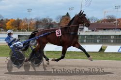 Dateiname=20251026_r03_056_R03_0192.jpg
Dateigröße=271KB
Abmessungen: 1000x667
hinzugefügt am: 27. Oktober 2025 20251026_r03_056_R03_0192.jpg