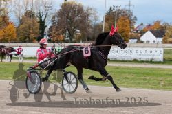 Dateiname=20251026_r03_063_R03_0212.jpg
Dateigröße=315KB
Abmessungen: 1000x667
hinzugefügt am: 27. Oktober 2025 20251026_r03_063_R03_0212.jpg