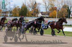 Dateiname=20251026_r03_112_R03_0371.jpg
Dateigröße=387KB
Abmessungen: 1000x667
hinzugefügt am: 27. Oktober 2025 20251026_r03_112_R03_0371.jpg