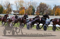 Dateiname=20251026_r03_114_R03_0378.jpg
Dateigröße=378KB
Abmessungen: 1000x667
hinzugefügt am: 27. Oktober 2025 20251026_r03_114_R03_0378.jpg