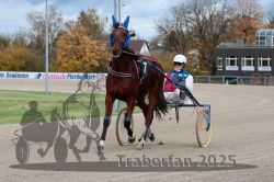 Dateiname=20251026_r04_009_R04_0062.jpg
Dateigröße=307KB
Abmessungen: 1000x667
hinzugefügt am: 28. Oktober 2025 20251026_r04_009_R04_0062.jpg