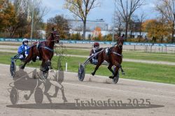 Dateiname=20251026_r04_025_R04_0126.jpg
Dateigröße=346KB
Abmessungen: 1000x667
hinzugefügt am: 28. Oktober 2025 20251026_r04_025_R04_0126.jpg