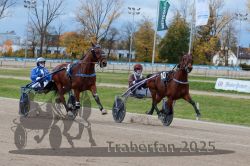 Dateiname=20251026_r04_029_R04_0137.jpg
Dateigröße=357KB
Abmessungen: 1000x667
hinzugefügt am: 28. Oktober 2025 20251026_r04_029_R04_0137.jpg