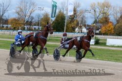 Dateiname=20251026_r04_030_R04_0140.jpg
Dateigröße=331KB
Abmessungen: 1000x667
hinzugefügt am: 28. Oktober 2025 20251026_r04_030_R04_0140.jpg