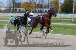 Dateiname=20251026_r04_049_R04_0202.jpg
Dateigröße=305KB
Abmessungen: 1000x667
hinzugefügt am: 28. Oktober 2025 20251026_r04_049_R04_0202.jpg