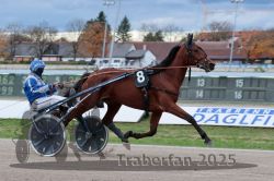 Dateiname=20251026_r04_065_R04_0254.jpg
Dateigröße=268KB
Abmessungen: 1000x667
hinzugefügt am: 28. Oktober 2025 20251026_r04_065_R04_0254.jpg