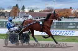 Dateiname=20251026_r04_066_R04_0255.jpg
Dateigröße=270KB
Abmessungen: 1000x667
hinzugefügt am: 28. Oktober 2025 20251026_r04_066_R04_0255.jpg