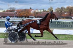 Dateiname=20251026_r04_067_R04_0258.jpg
Dateigröße=269KB
Abmessungen: 1000x667
hinzugefügt am: 28. Oktober 2025 20251026_r04_067_R04_0258.jpg