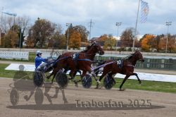 Dateiname=20251026_r04_151_R04_0563.jpg
Dateigröße=288KB
Abmessungen: 1000x667
hinzugefügt am: 28. Oktober 2025 20251026_r04_151_R04_0563.jpg