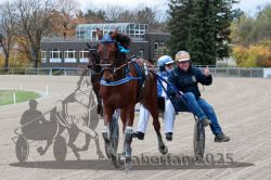 Dateiname=20251026_r04_172_R04_0626.jpg
Dateigröße=336KB
Abmessungen: 1000x667
hinzugefügt am: 28. Oktober 2025 20251026_r04_172_R04_0626.jpg