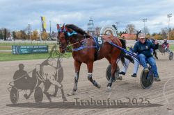 Dateiname=20251026_r04_181_R04_0657.jpg
Dateigröße=300KB
Abmessungen: 1000x667
hinzugefügt am: 28. Oktober 2025 20251026_r04_181_R04_0657.jpg