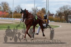 Dateiname=20251026_r05_001_R05_0003.jpg
Dateigröße=287KB
Abmessungen: 1000x667
hinzugefügt am: 28. Oktober 2025 20251026_r05_001_R05_0003.jpg