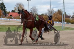 Dateiname=20251026_r05_002_R05_0008.jpg
Dateigröße=279KB
Abmessungen: 1000x667
hinzugefügt am: 28. Oktober 2025 20251026_r05_002_R05_0008.jpg