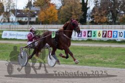 Dateiname=20251026_r05_003_R05_0011.jpg
Dateigröße=311KB
Abmessungen: 1000x667
hinzugefügt am: 28. Oktober 2025 20251026_r05_003_R05_0011.jpg