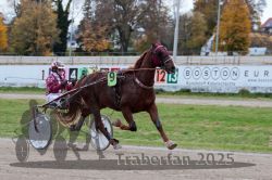 Dateiname=20251026_r05_005_R05_0015.jpg
Dateigröße=307KB
Abmessungen: 1000x667
hinzugefügt am: 28. Oktober 2025 20251026_r05_005_R05_0015.jpg