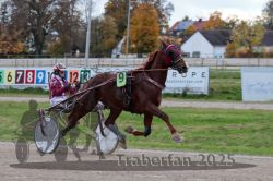 Dateiname=20251026_r05_006_R05_0018.jpg
Dateigröße=297KB
Abmessungen: 1000x667
hinzugefügt am: 28. Oktober 2025 20251026_r05_006_R05_0018.jpg