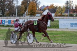 Dateiname=20251026_r05_007_R05_0019.jpg
Dateigröße=293KB
Abmessungen: 1000x667
hinzugefügt am: 28. Oktober 2025 20251026_r05_007_R05_0019.jpg