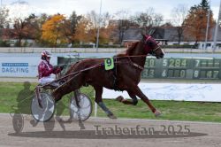 Dateiname=20251026_r05_010_R05_0026.jpg
Dateigröße=286KB
Abmessungen: 1000x667
hinzugefügt am: 28. Oktober 2025 20251026_r05_010_R05_0026.jpg