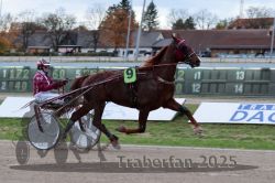 Dateiname=20251026_r05_011_R05_0029.jpg
Dateigröße=277KB
Abmessungen: 1000x667
hinzugefügt am: 28. Oktober 2025 20251026_r05_011_R05_0029.jpg