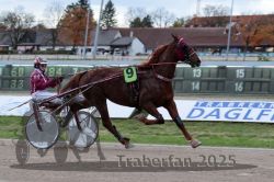 Dateiname=20251026_r05_012_R05_0030.jpg
Dateigröße=283KB
Abmessungen: 1000x667
hinzugefügt am: 28. Oktober 2025 20251026_r05_012_R05_0030.jpg