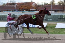 Dateiname=20251026_r05_015_R05_0034.jpg
Dateigröße=276KB
Abmessungen: 1000x667
hinzugefügt am: 28. Oktober 2025 20251026_r05_015_R05_0034.jpg