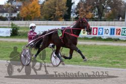 Dateiname=20251026_r05_018_R05_0043.jpg
Dateigröße=290KB
Abmessungen: 1000x667
hinzugefügt am: 28. Oktober 2025 20251026_r05_018_R05_0043.jpg