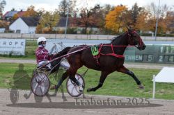 Dateiname=20251026_r05_022_R05_0053.jpg
Dateigröße=291KB
Abmessungen: 1000x667
hinzugefügt am: 28. Oktober 2025 20251026_r05_022_R05_0053.jpg