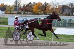 Dateiname=20251026_r05_023_R05_0054.jpg
Dateigröße=283KB
Abmessungen: 1000x667
hinzugefügt am: 28. Oktober 2025 20251026_r05_023_R05_0054.jpg