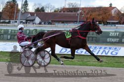 Dateiname=20251026_r05_026_R05_0061.jpg
Dateigröße=287KB
Abmessungen: 1000x667
hinzugefügt am: 28. Oktober 2025 20251026_r05_026_R05_0061.jpg