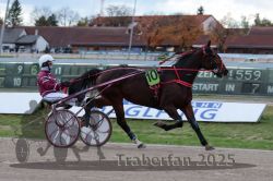 Dateiname=20251026_r05_027_R05_0062.jpg
Dateigröße=272KB
Abmessungen: 1000x667
hinzugefügt am: 28. Oktober 2025 20251026_r05_027_R05_0062.jpg