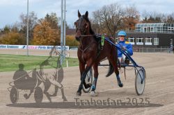 Dateiname=20251026_r05_041_R05_0121.jpg
Dateigröße=311KB
Abmessungen: 1000x667
hinzugefügt am: 28. Oktober 2025 20251026_r05_041_R05_0121.jpg